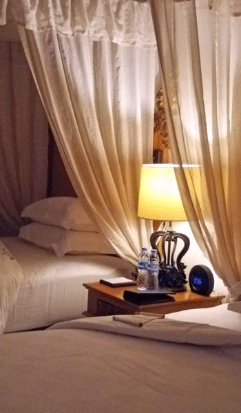 e0020214_1525350.gif