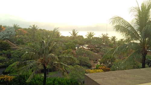 e0020214_15305378.gif