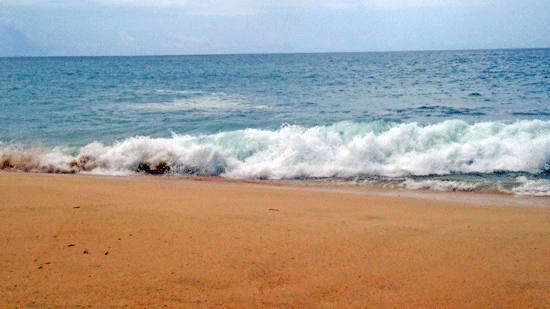 e0020214_15453799.gif