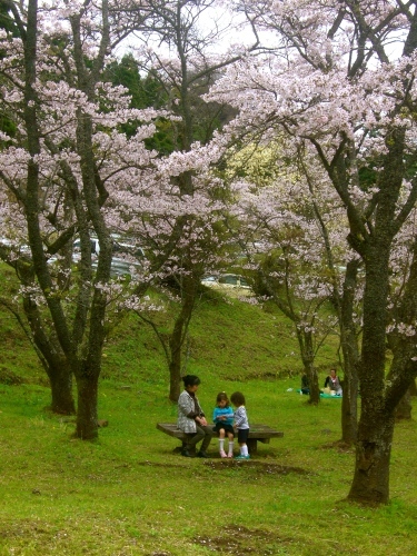 入園式とお花見　in 南阿蘇_f0309715_19093369.jpg