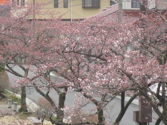 f0248616_11062571.jpg