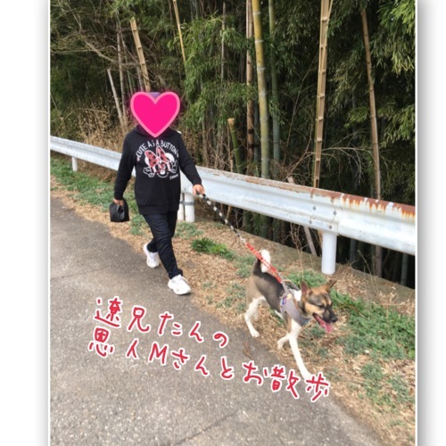 b0207320_11450047.jpeg