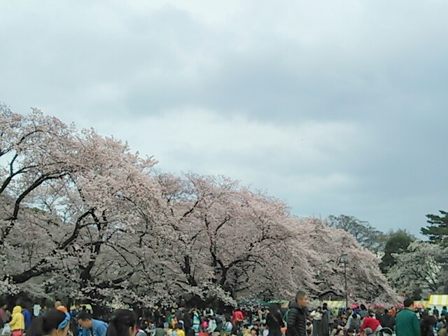 b0082125_96839.jpg