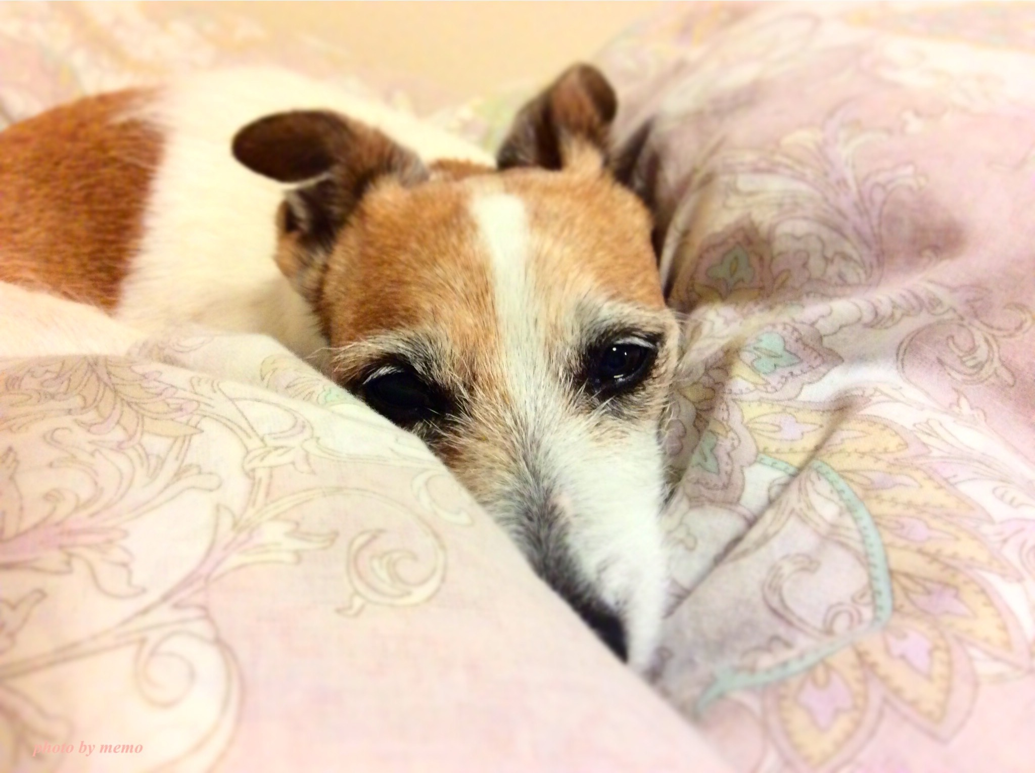 b0188228_22422191.jpeg