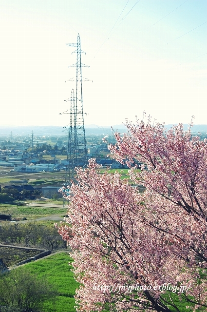 e0290331_19063183.jpg