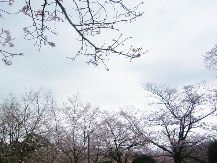 a0206332_12122139.jpg