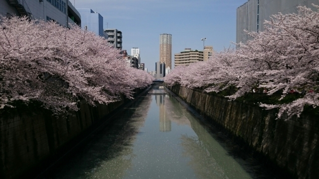 c0209932_22321876.jpg