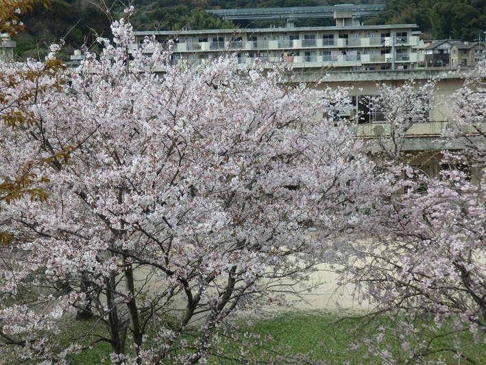 a0054240_21165736.jpg