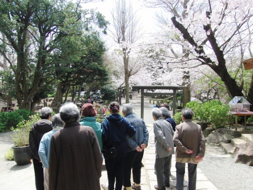 外出レク ~ 2016 お花見レク風景② ~_e0222340_18161173.jpg