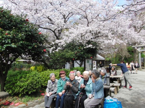 外出レク ~ 2016 お花見レク風景② ~_e0222340_18164071.jpg