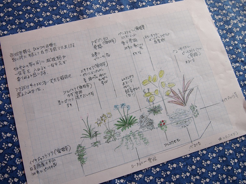 厚木市の家☆少しずつ植栽が_c0152341_9375041.jpg