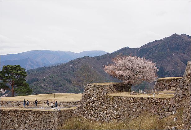 竹田城跡に登りました！_f0335941_10215186.jpg