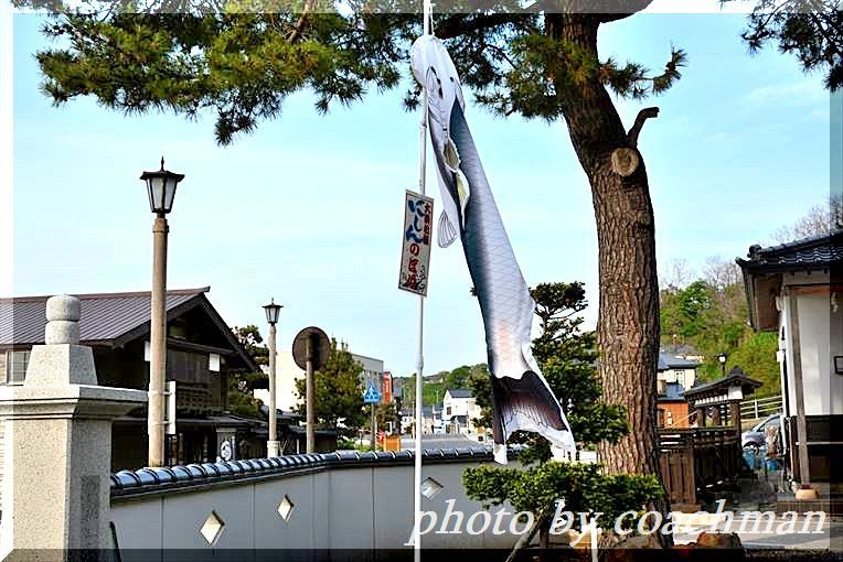 「姥神大神宮」2　狛犬 (江差町)_a0315942_22514310.jpg