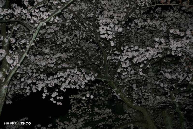 f0032042_21494595.jpg