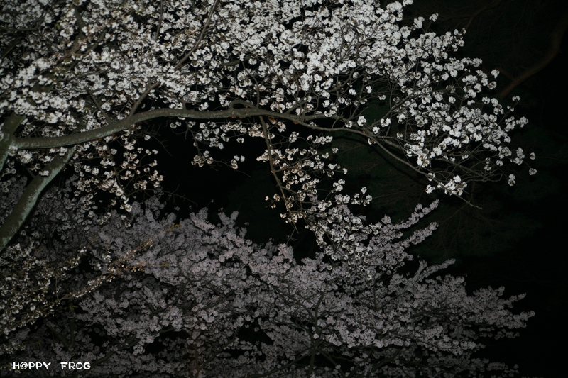 f0032042_2150312.jpg