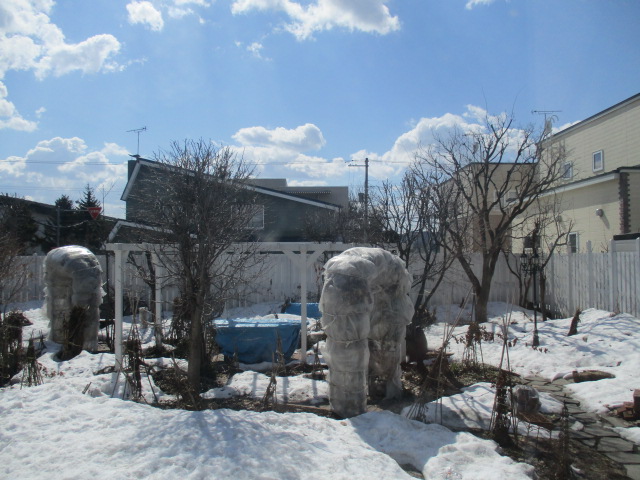 a0279743_9483716.jpg