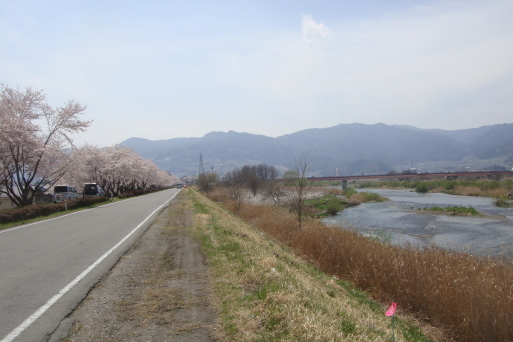 桜堤（さくらづつみ）_e0226943_23035505.jpg