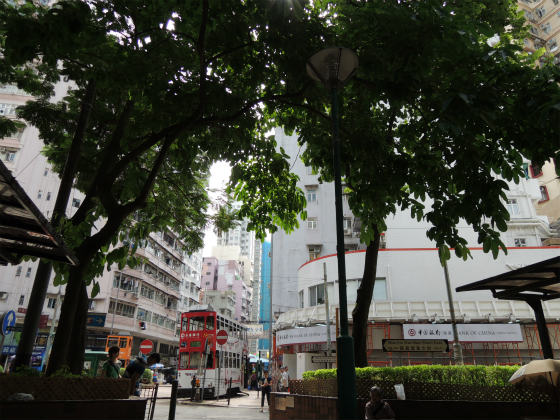信仰の場所に寄り添う樹木たち　 ～ 香港の廟  その１ ～_e0248743_20413432.jpg