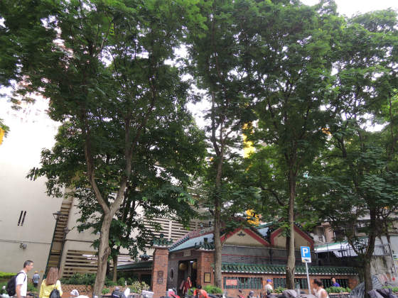 信仰の場所に寄り添う樹木たち　 ～ 香港の廟  その１ ～_e0248743_20522436.jpg