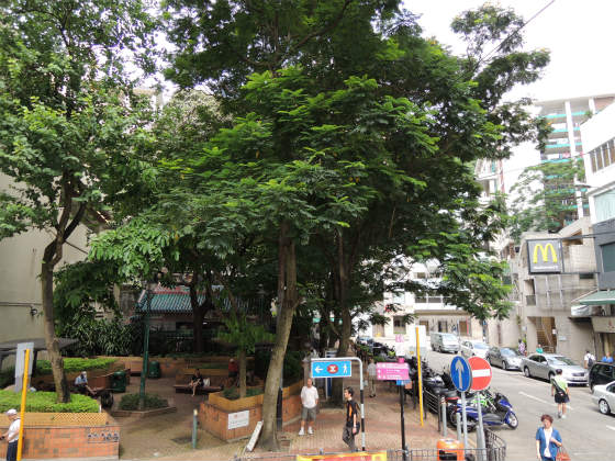 信仰の場所に寄り添う樹木たち　 ～ 香港の廟  その１ ～_e0248743_2053172.jpg