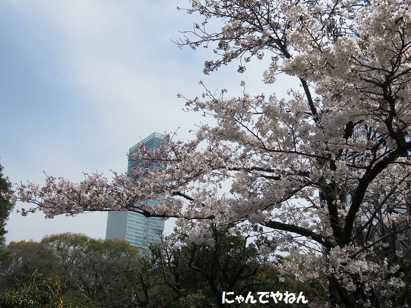 f0002743_129146.jpg