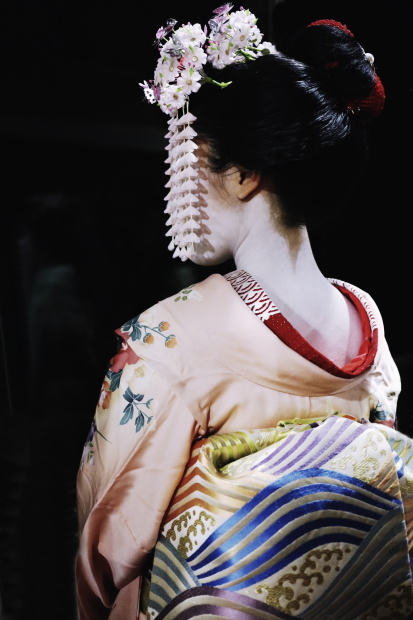舞妓はん_e0241944_22183161.jpg
