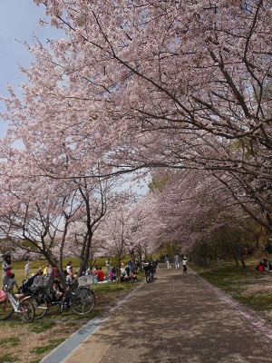 c0261346_195857100.jpg