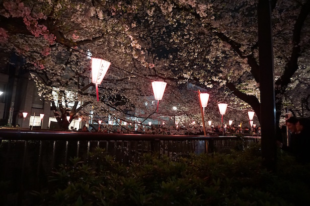 目黒川　桜みち　２０１６_e0295348_23252550.jpg