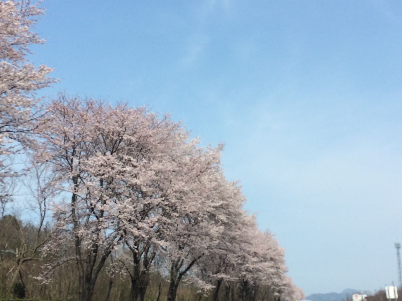 c0254151_22491026.jpg