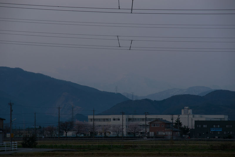 d0342652_1431360.jpg