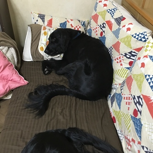 f0095152_20170978.jpeg
