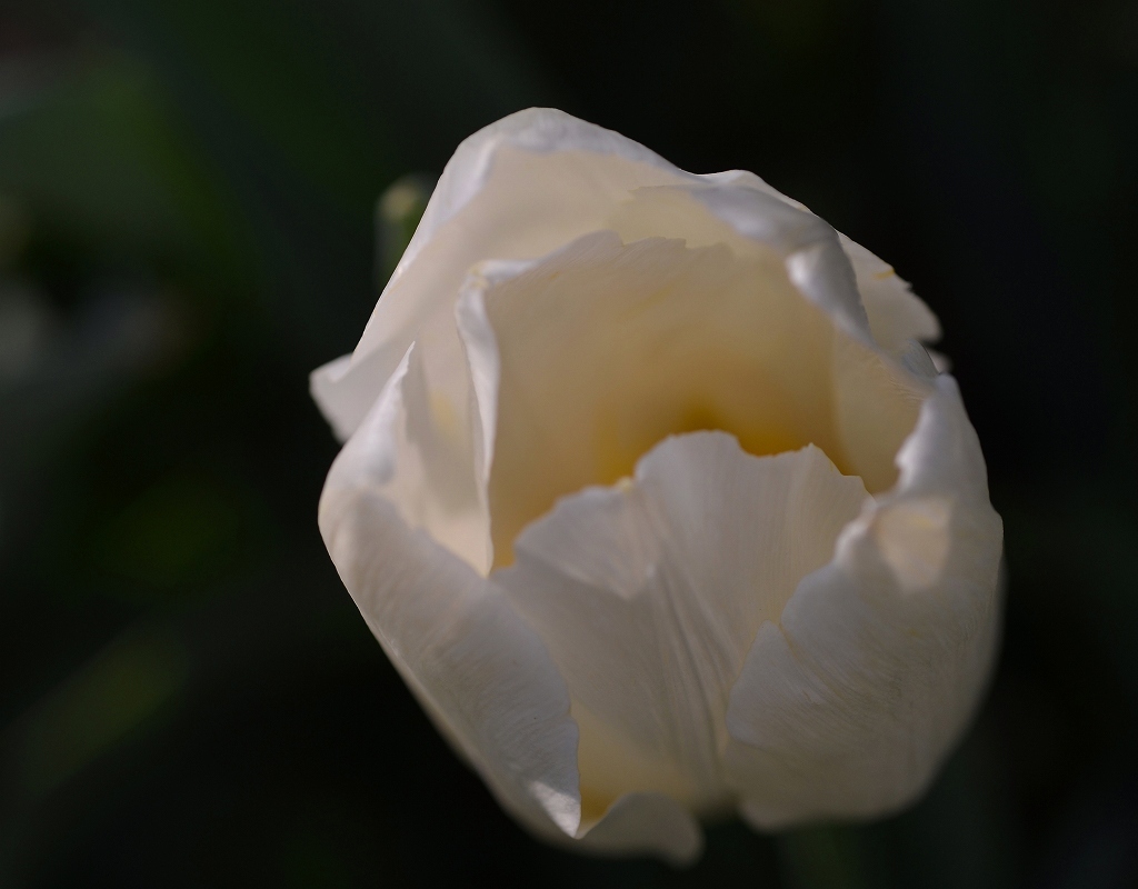 a0016161_21063667.jpg