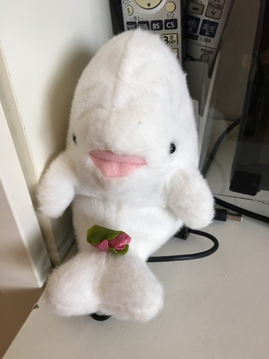 のあ680 新学期_b0061261_22062110.jpeg