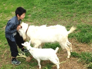 GReenな想い出***_e0290872_23274665.jpeg