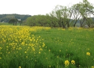 GReenな想い出***_e0290872_23365417.jpeg
