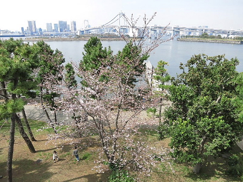 「ヘルスコミュニケーション」というコトバ。_b0141773_23345883.jpg