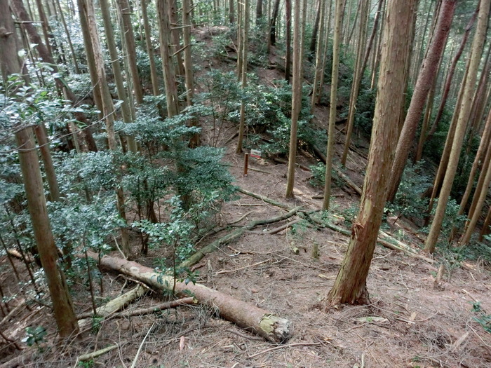 b0185573_17234439.jpg