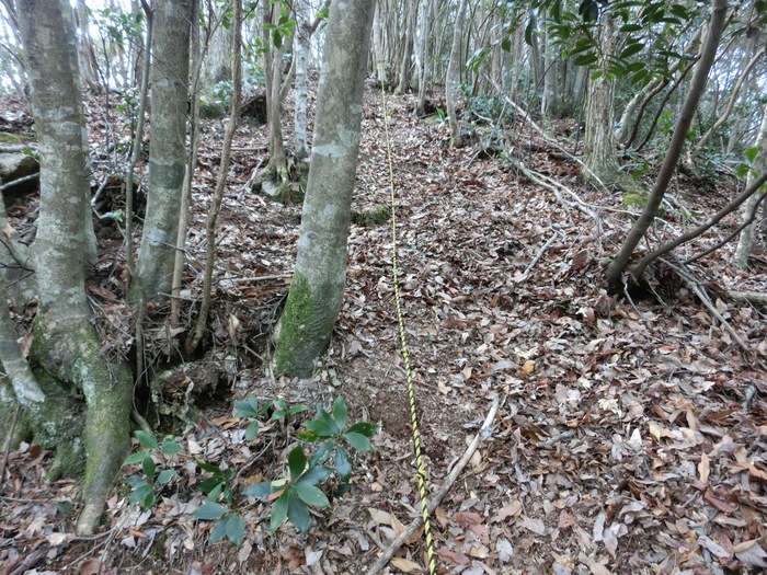 b0185573_17312523.jpg