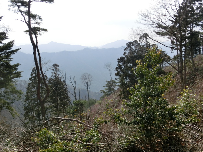 b0185573_2012585.jpg
