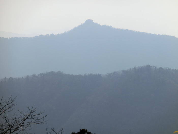 b0185573_20327.jpg