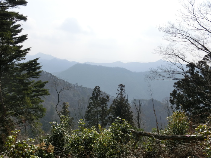 b0185573_2073390.jpg