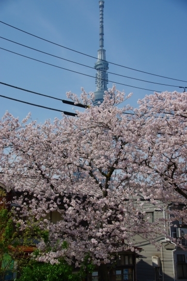 c0366973_14015957.jpg