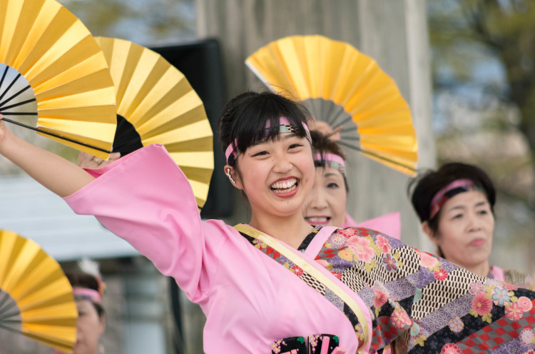 京都さくらよさこい２０１６　京都八木よさこい_d0337380_19232847.jpg