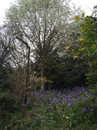 d0348182_12541956.jpeg