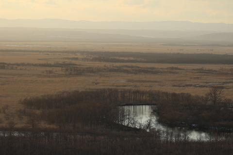 e0197884_8321394.jpg