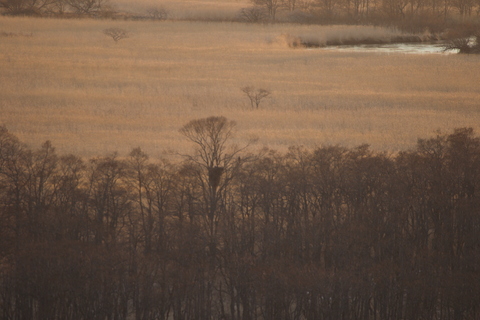 e0197884_8335466.jpg