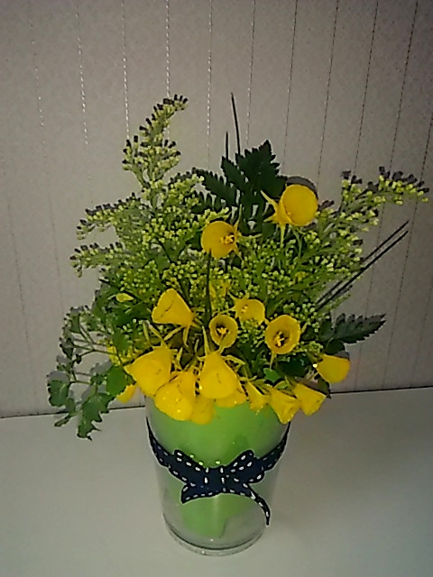 黄色の花さん、その名は”バルボコジューム”ですね？_d0081485_17144727.jpg