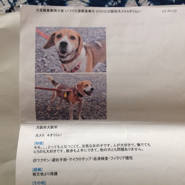 c0168986_15065364.jpeg