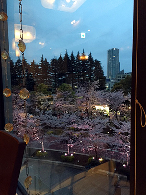満開の夜桜ディナー♪_d0167088_1532793.jpg