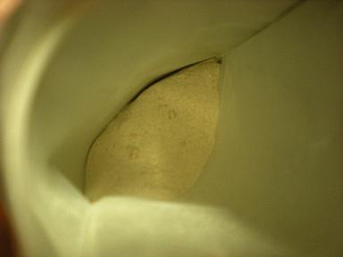 減塩梅こんぶ茶_e0233190_0112327.jpg